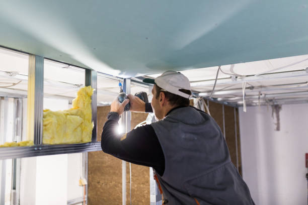 Best Crawl Space Insulation  in Vinton, VA